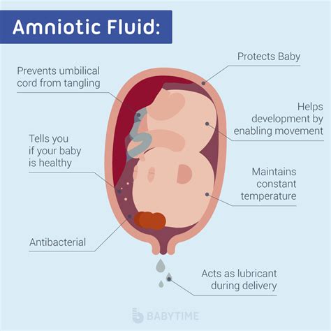 Signs Of Leaking Amniotic Fluid Vs. Discharge: The。